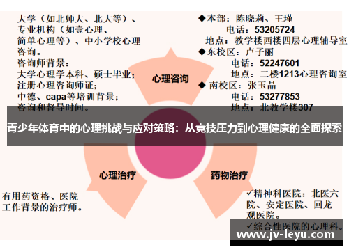 青少年体育中的心理挑战与应对策略：从竞技压力到心理健康的全面探索