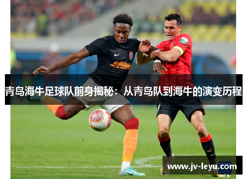 青岛海牛足球队前身揭秘：从青岛队到海牛的演变历程